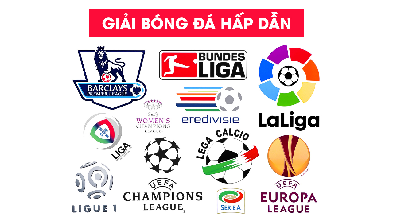 Hangbongda.tv phát sóng đa dạng các giải đấu khác nhau
